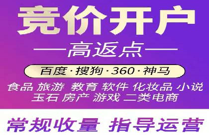 专业SEM代运营公司案例分析